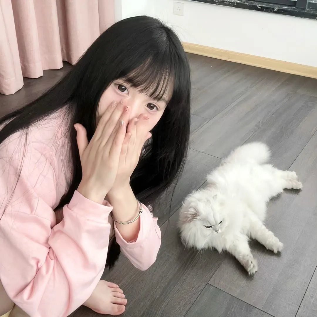 孤狼救援